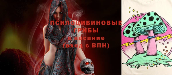 первитин Алексеевка